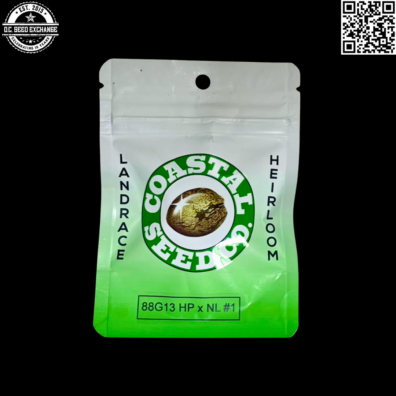 Coastal Seed Co 88g13hp x NL#1 Front IG