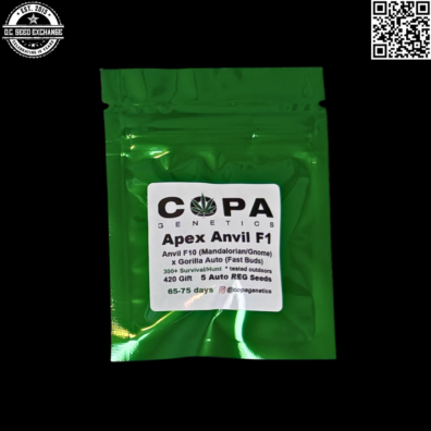 Copa Genetics Apex Anvil F1 Front2 IG