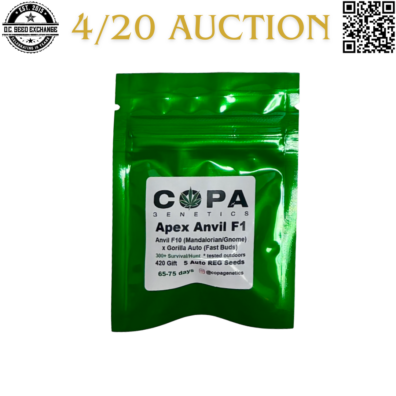 Copa Genetics Apex Anvil Front IG