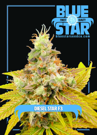 DIESEL STAR F3 6