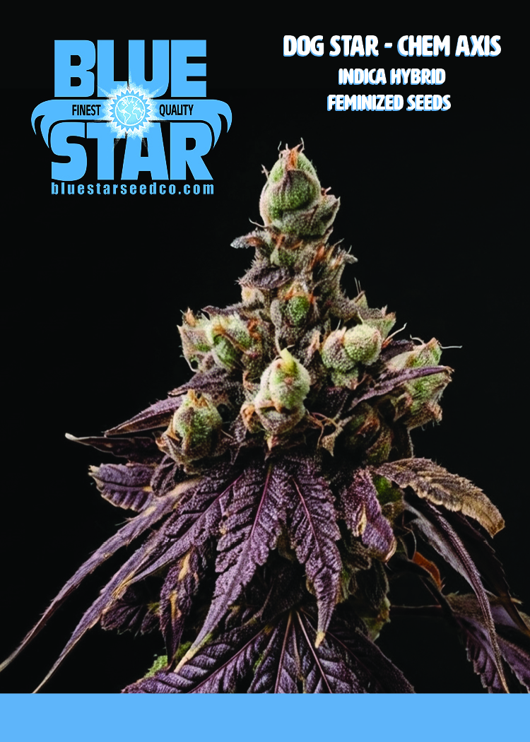 DOG STAR CHEM AXIS 5