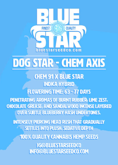 DOG STAR CHEM AXIS 7