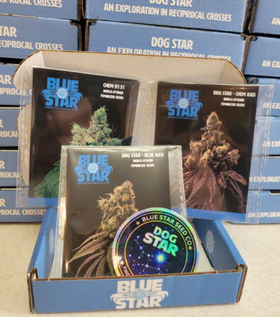 Dog Star Box Set 3