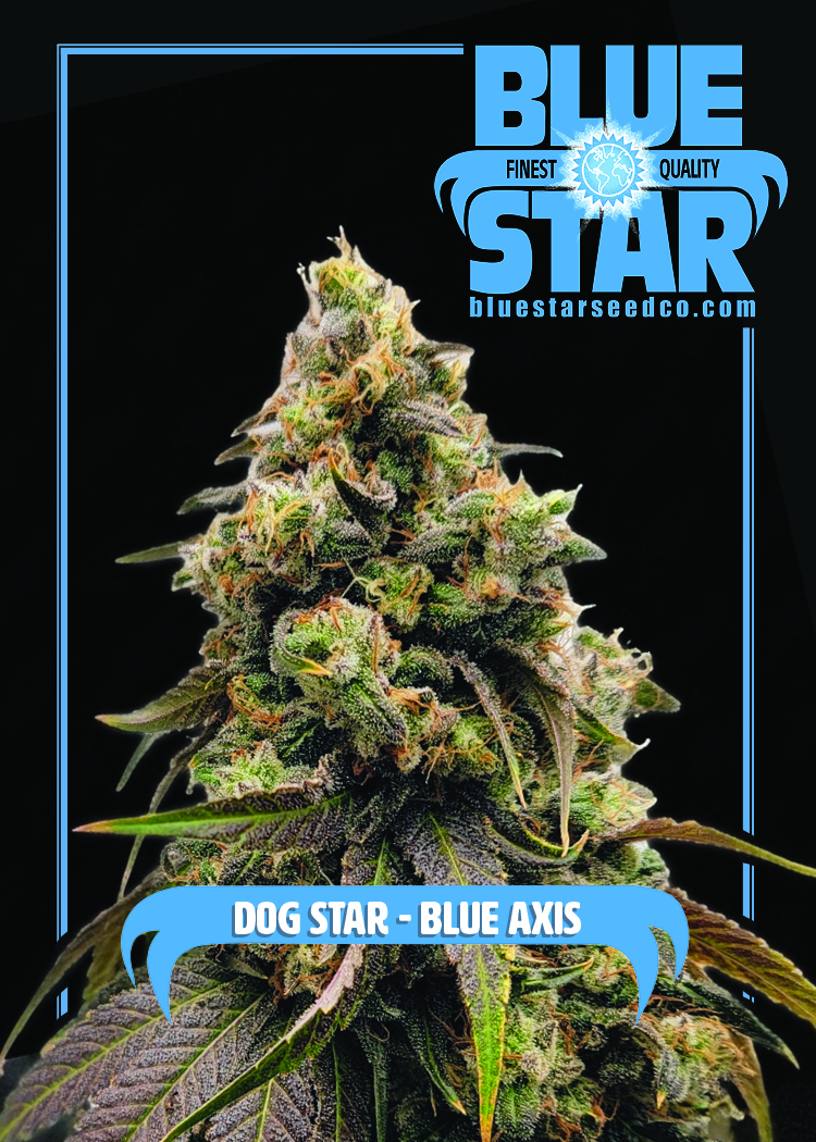 Dog Star x Blue Axis 6
