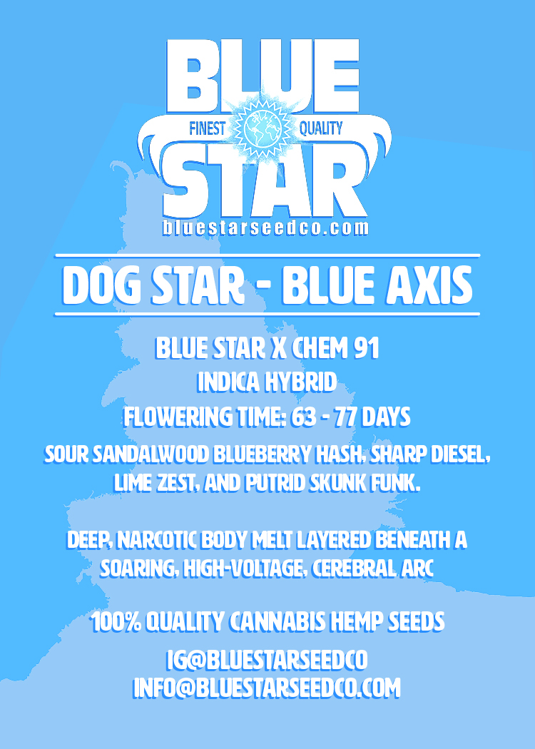 Dog Star x Blue Axis 7
