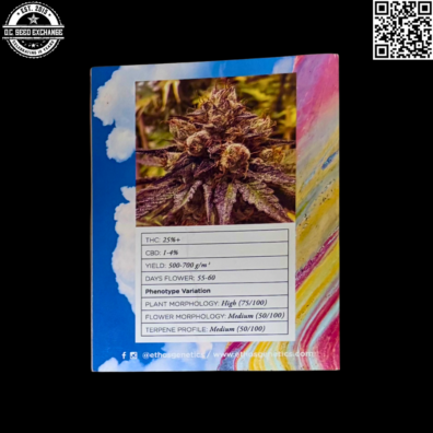 Ethos Genetics Lemon Grape Bubba Temple LIMITED Back IG