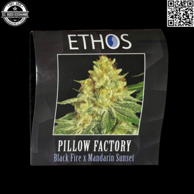Ethos Genetics Pillow Factory Front IG