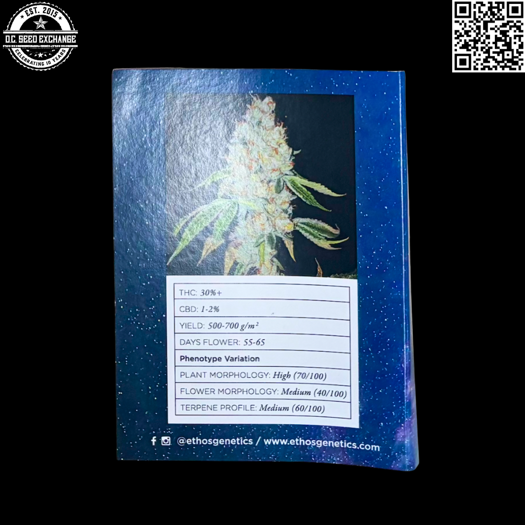 Ethos Genetics Temple of the Dawg F1 BX Back IG