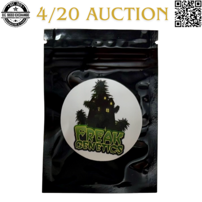 Freak Genetics Pure Michigan F4 Back IG