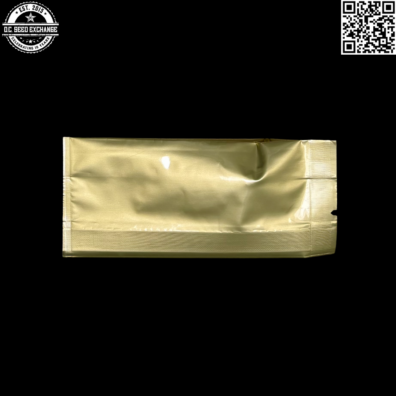 Golden Coast Genetics Golden Rhino Back IG