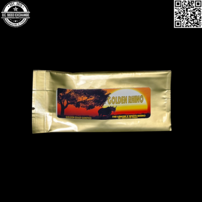 Golden Coast Genetics Golden Rhino Front IG