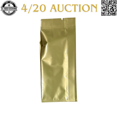 Golden Coast Genetics Native Skunk Back IG