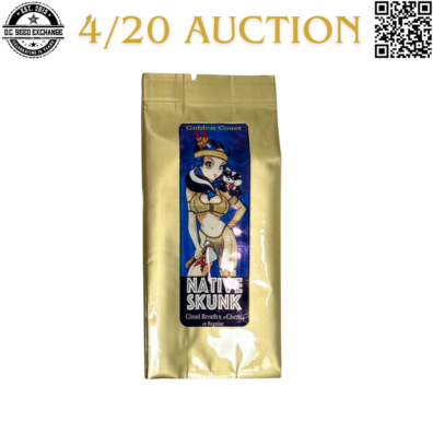 Golden Coast Genetics Native Skunk Front IG