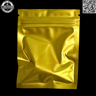 Golden Road Seed Company SSK X Headbanger Back IG