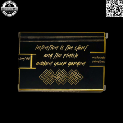 Green Bodhi Dogwalker x Ancient OG Back IG