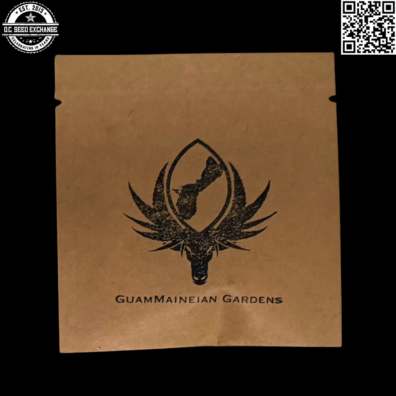 GuamMaineian Gardens Road Dog Chamhaole Back IG