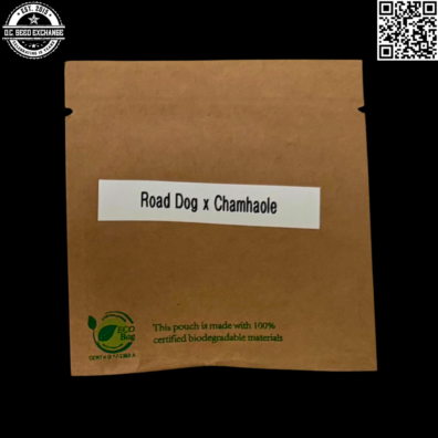 GuamMaineian Gardens Road Dog Chamhaole Front IG