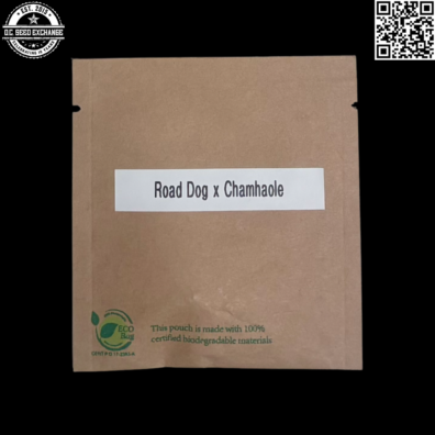 GuamMainian Gardens Road Dog x Chamhaole Front3 IG