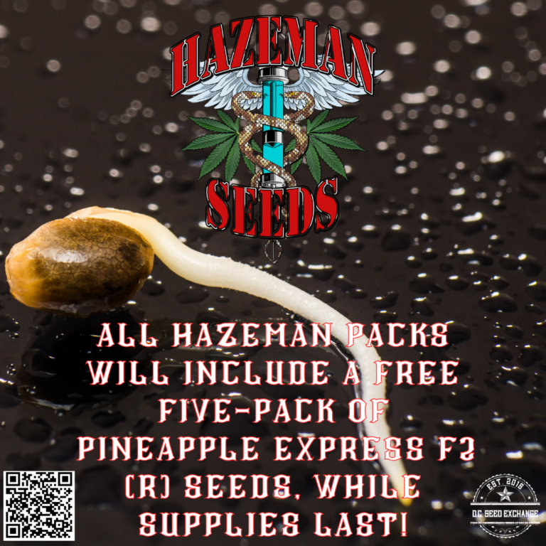 Hazeman Freebie Pineapple Express