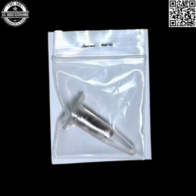 Hazeman Seeds Buckeye Purple x Durban Poison Back3 IG