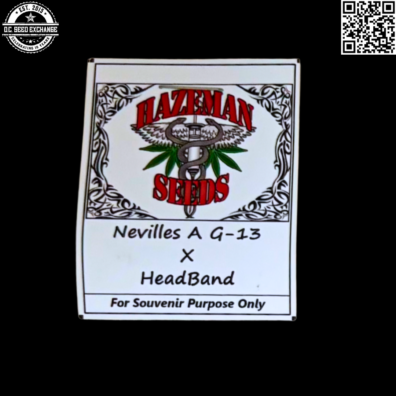 Hazeman Seeds Nevilles A G 13 x Headband Front IG