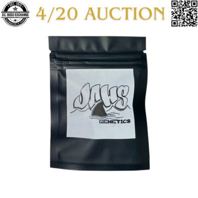 Jaws Genetics Blackberry Cookie F2 Back IG