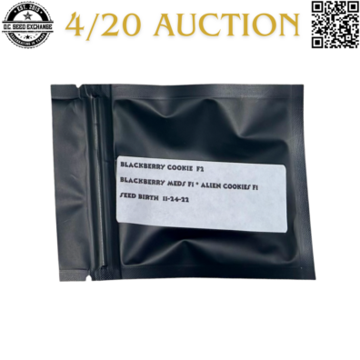 Jaws Genetics Blackberry Cookie F2 Front IG
