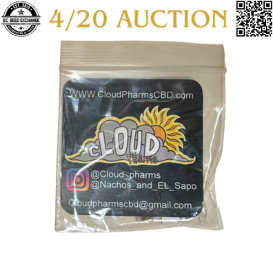 Nachos and El Sapo Apricoma F2 Back IG