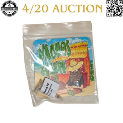 Nachos and El Sapo Apricoma F2 Front IG