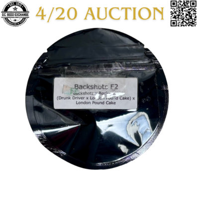 Nachos and El Sapo Backshots F2 Front2 IG