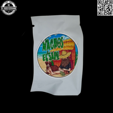 Nachos and El Sapo Jambyl Kazakhstan LR x Otto Graham Back IG