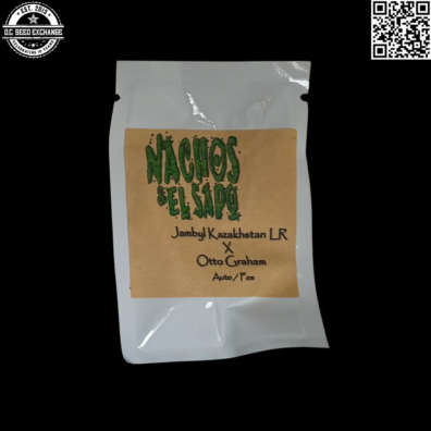 Nachos and El Sapo Jambyl Kazakhstan LR x Otto Graham Front IG