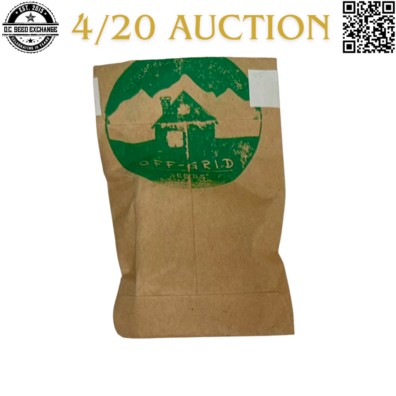 Off Grid Seeds Chocolate Rain Mix Back IG