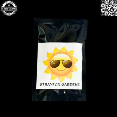 Strayfox Rollin 88 Back2 IG