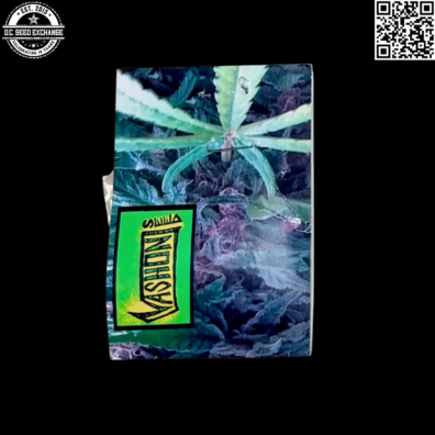 Vashon Seeds Eki Bird Back5 IG