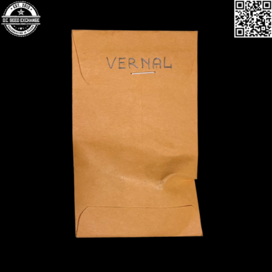 Vernal Luna Moth F1 Back IG