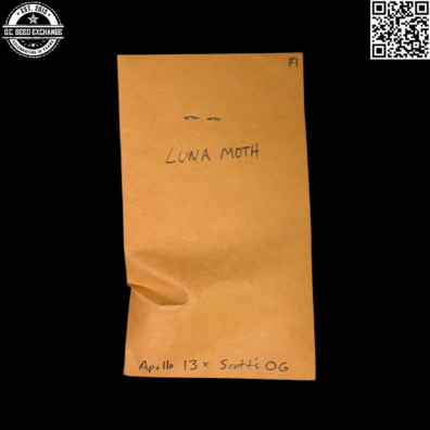 Vernal Luna Moth F1 Front IG