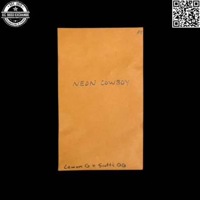 Vernal Neon Cowboy Front IG