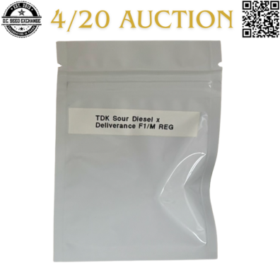 White Forest Seeds Sour Deliverance Back IG