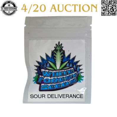 White Forest Seeds Sour Deliverance Front IG