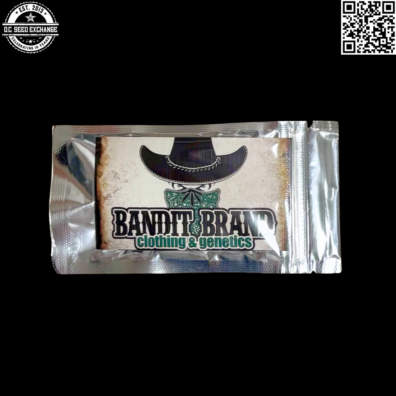 Bandit Brand Funky Gasolina Back IG