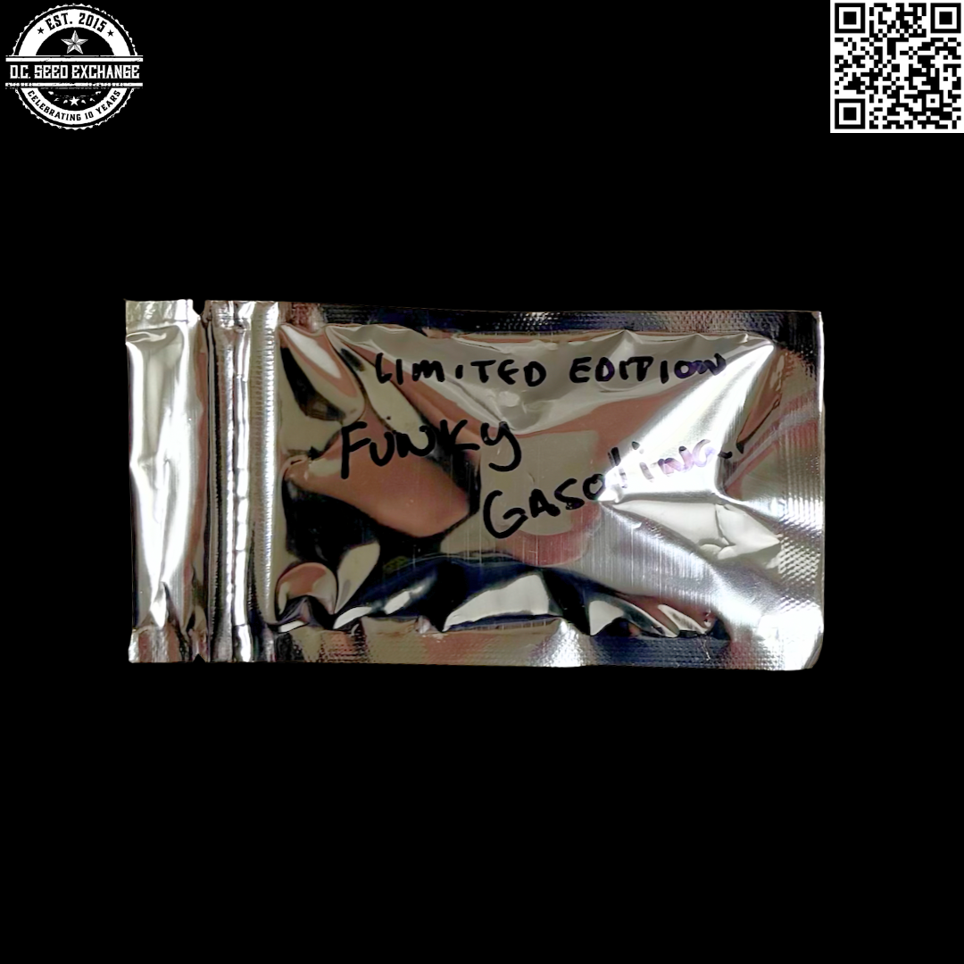 Bandit Brand Funky Gasolina Front IG