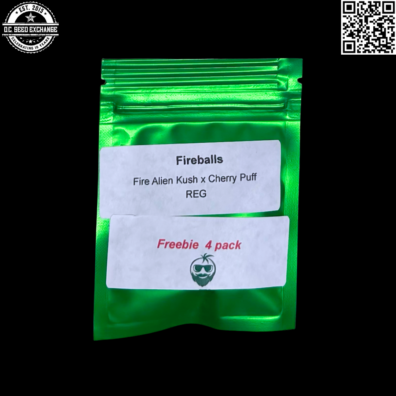Bob Bitchen Beans Fireballs Front IG