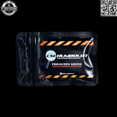 CSI Humboldt HP13 S1 Back IG