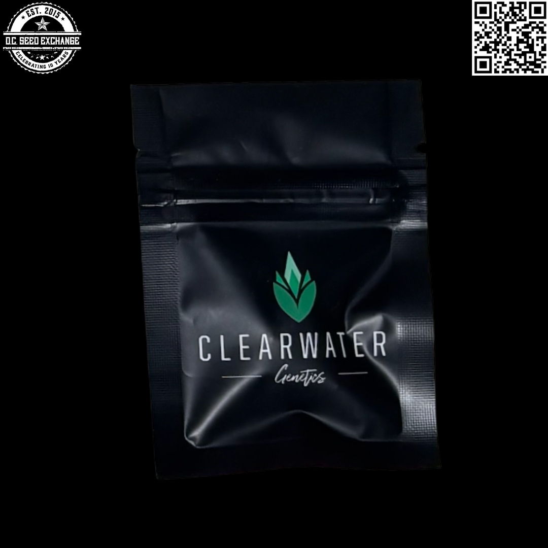 Clearwater Genetics Apple Fritter S1 Front IG