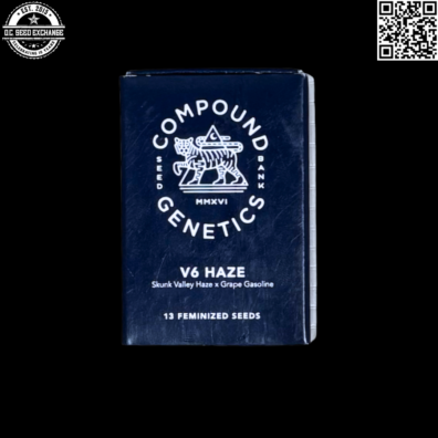 Compound Genetics V6 Haze Front IG