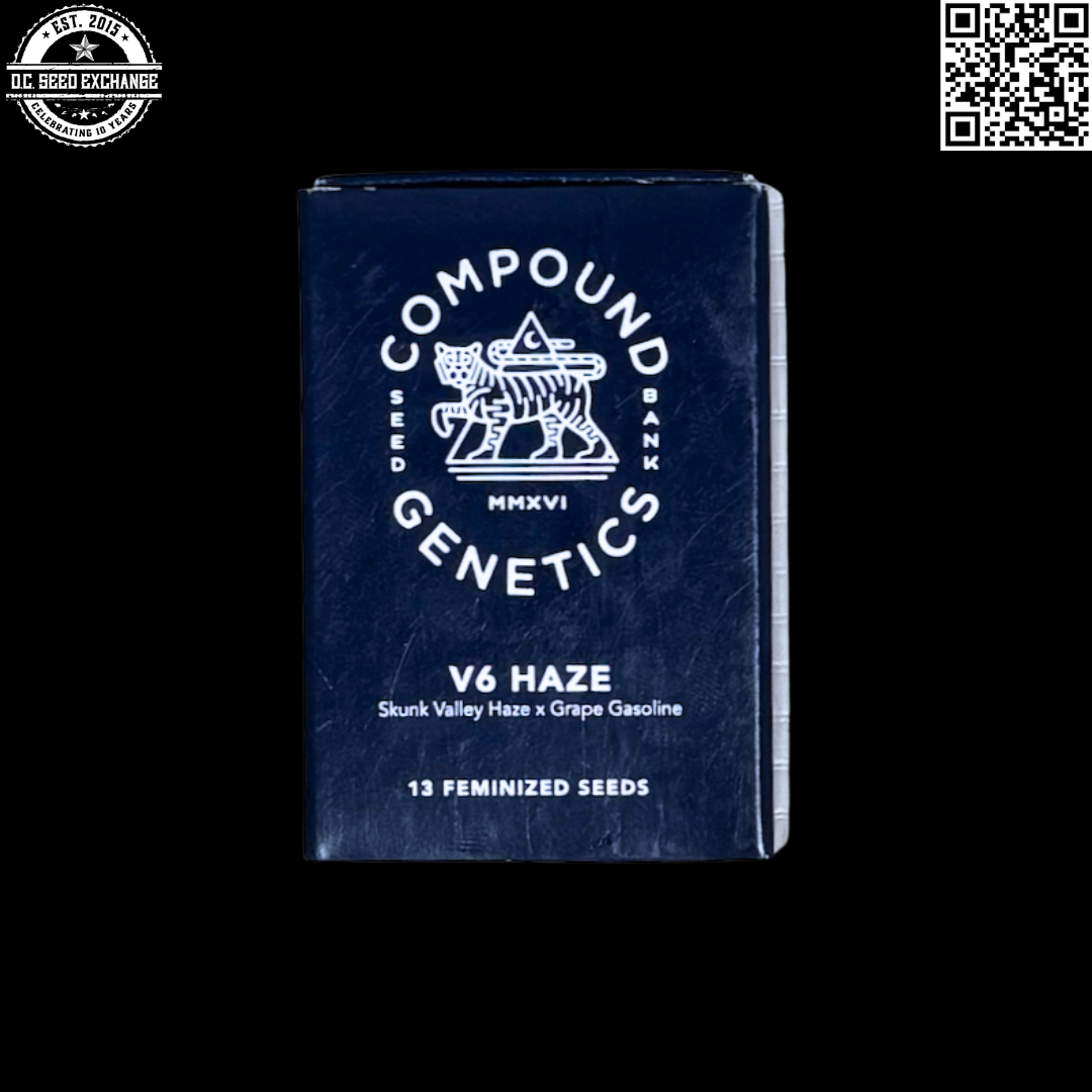 Compound Genetics V6 Haze Front IG