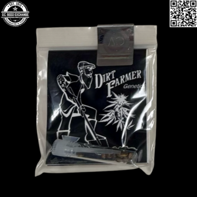 Dirt Farmer Genetics GrapelBerry Back IG