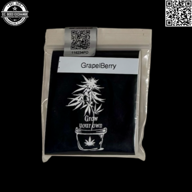 Dirt Farmer Genetics GrapelBerry Front IG