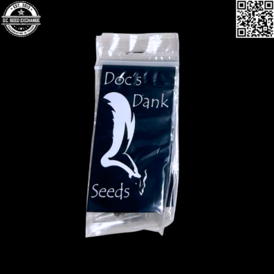 Docs Dank Seeeds Buffalo OG #4 x Bear Creeek Kush Back IG